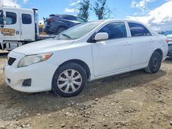 2010 Toyota Corolla le for sale in San Martin, CA