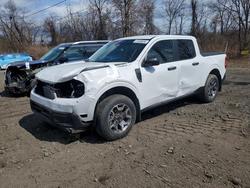 Salvage trucks for sale at Marlboro, NY auction: 2024 Ford Maverick AWD Crew Cab 2.0L XLT