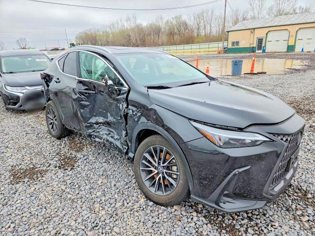 2024 Lexus Nx 350h Base