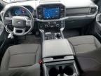 2025 Ford F150 XLT
