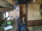 2019 Lako TA C8415 Horse Trailer