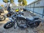 2019 Harley-Davidson XL883 N
