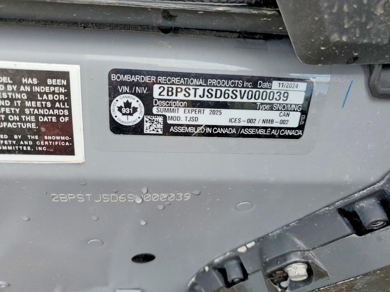 2025 Skidoo 2025 SKI-DO Snowmobile