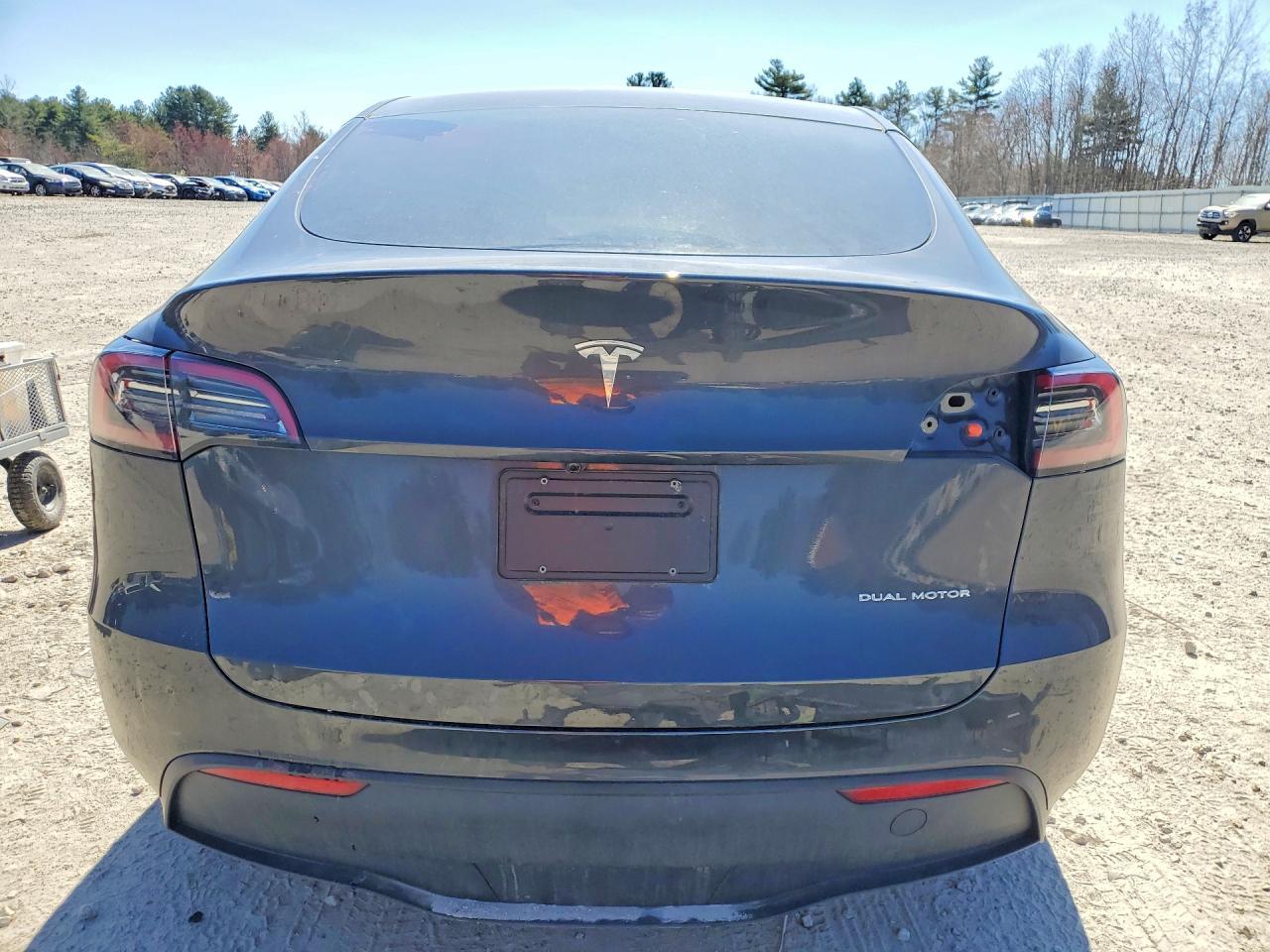 2025 Tesla Model y