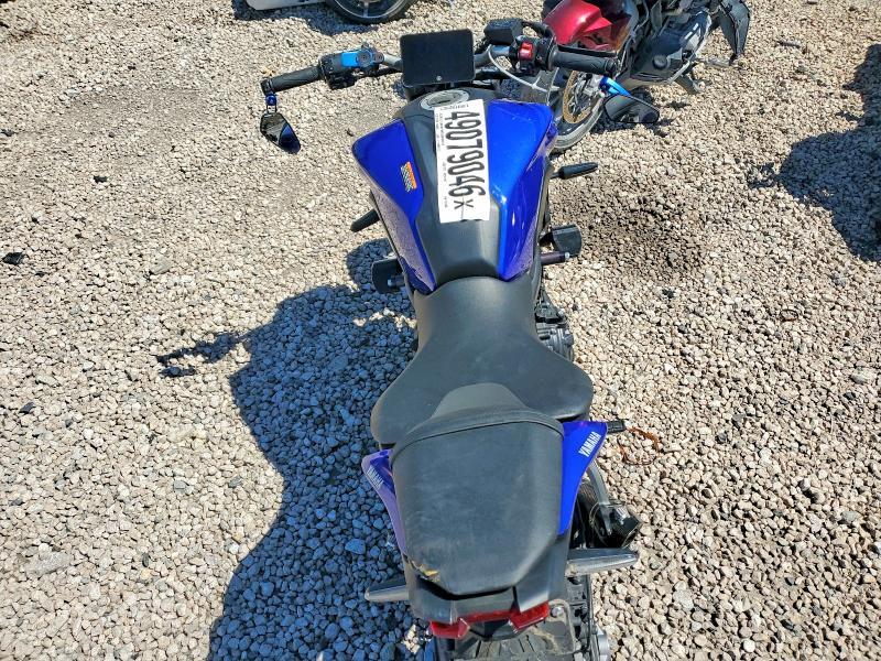2024 Yama Mt07