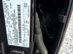 2025 Ford F150 XLT