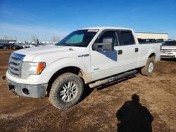 Salvage cars for sale from Copart -no: 2013 Ford F150 Supercrew