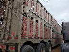 2015 Wilson Trailer