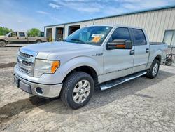 Ford salvage cars for sale: 2014 Ford F150 Supercrew