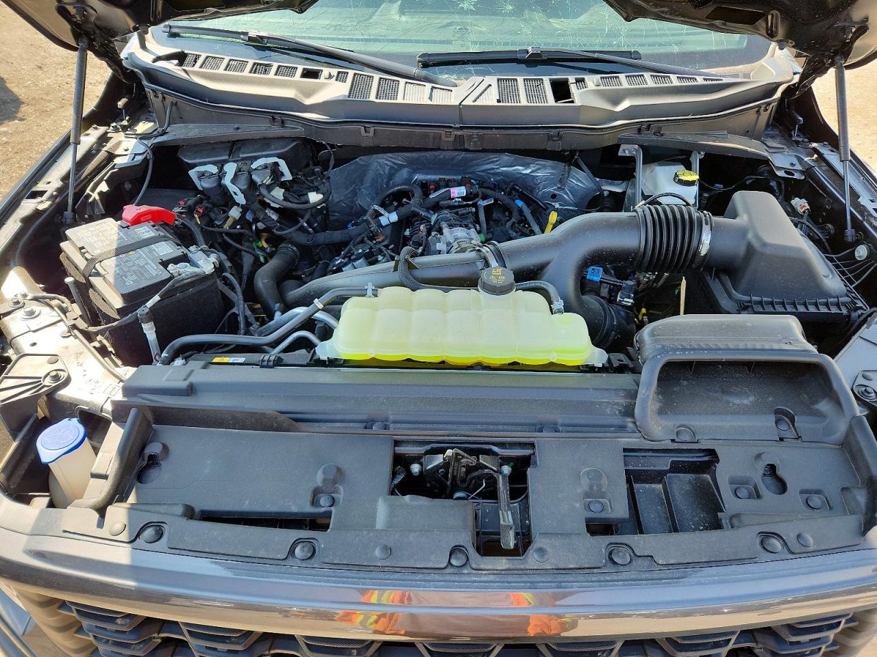 2025 Ford F150 STX