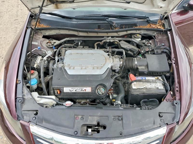 2010 Honda Accord exl