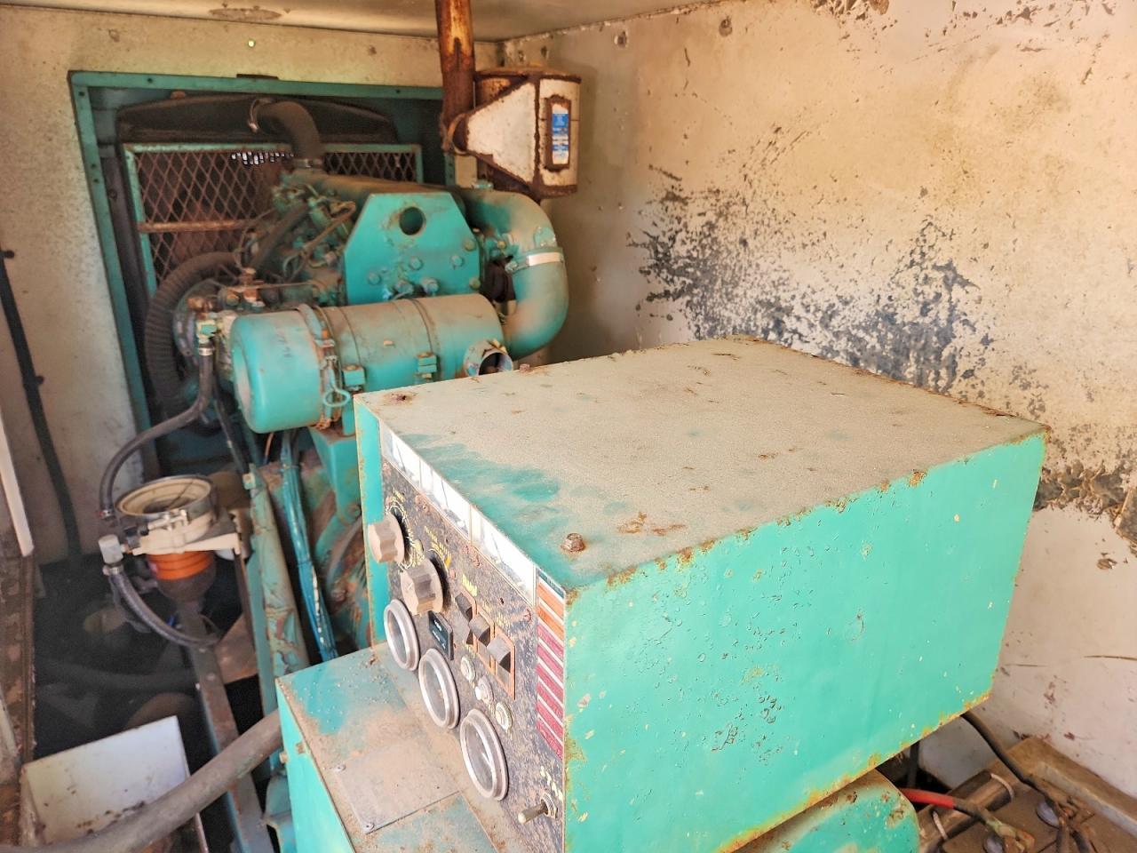 2010 Pelsue Generator