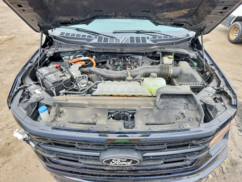 2024 Ford F150 XLT