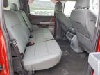 2024 Ford F150 Lightning XLT