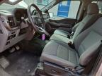 2025 Ford F150 XLT