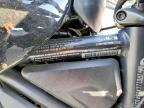 2023 Harley-Davidson RH1250 S