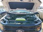 2026 Ford F150 XLT