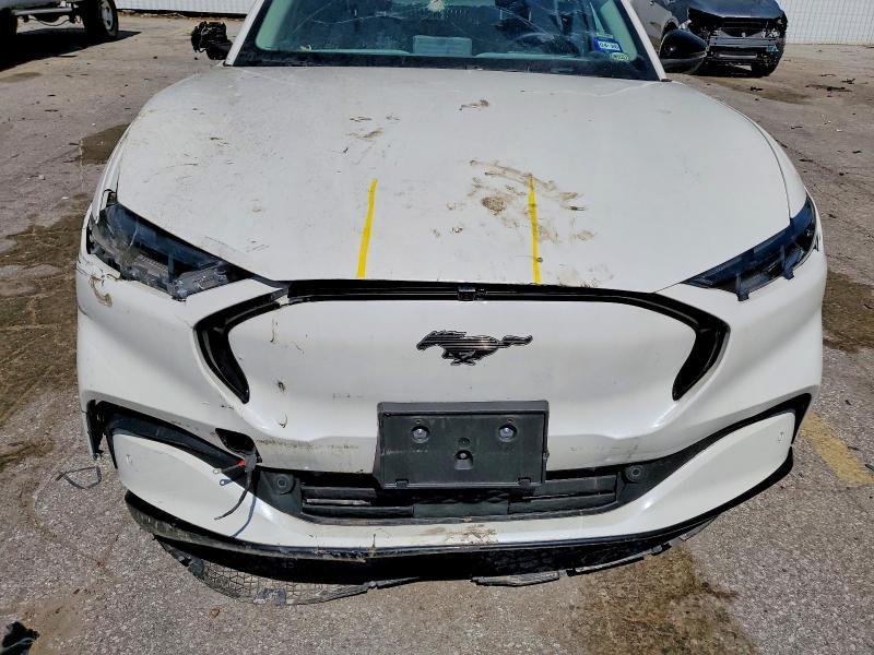 2024 Ford Focus bev