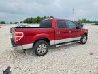 2013 Ford F150XLT
