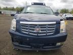 2007 Cadillac Escalade Luxury