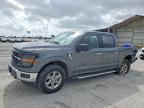 2024 Ford F150 XLT