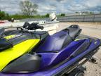 2021 Sea-Doo RXP X 300
