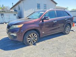 KIA salvage cars for sale: 2011 KIA Sorento sx
