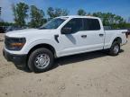 2024 Ford F150 XL