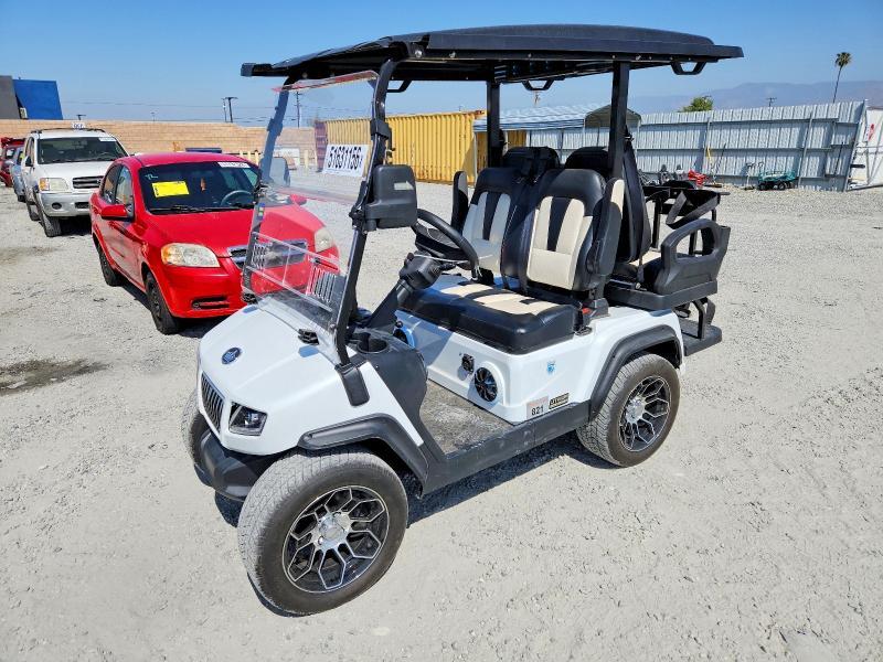 2025 Evolution 2025 Golf Cart