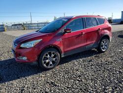 Ford salvage cars for sale: 2014 Ford Escape Titanium