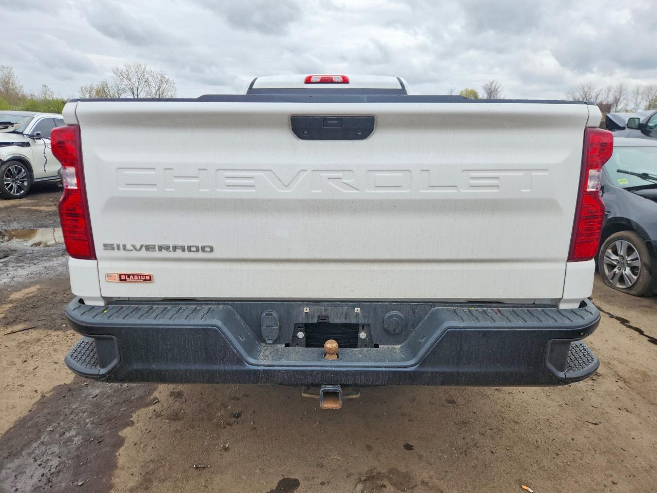 2019 Chevrolet Silverado C1500