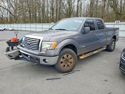 Vehiculos salvage en venta de Copart Glassboro, NJ: 2011 Ford F150 Supercrew
