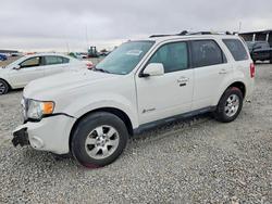 2011 Ford Escape Hybrid for sale in Brighton, CO