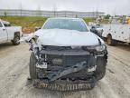2024 Chev Colorado