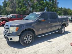 Ford salvage cars for sale: 2014 Ford F150 Supercrew