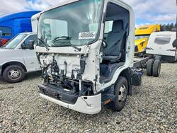 Salvage trucks for sale at Spanaway, WA auction: 2025 Isuzu NPR HD Truck Cab AND Chassis
