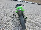 2014 Kawasaki EX300 B