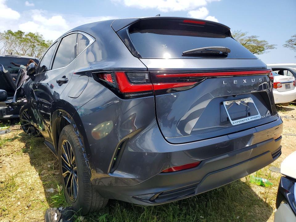 2024 Lexus Nx 250 Premium