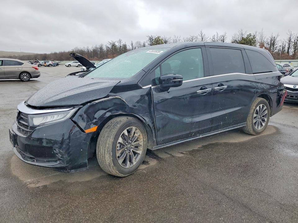 2024 Honda Odyssey exl