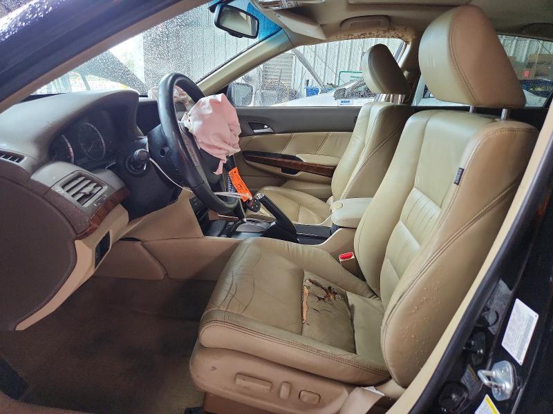 2009 Honda Accord exl