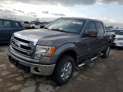 Salvage cars for sale from Copart Indianapolis, IN: 2013 Ford F150 Supercrew