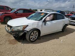 Honda salvage cars for sale: 2009 Honda Accord exl