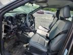 2024 Ford F150 XL