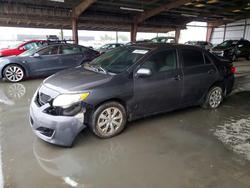 2010 Toyota Corolla le for sale in American Canyon, CA