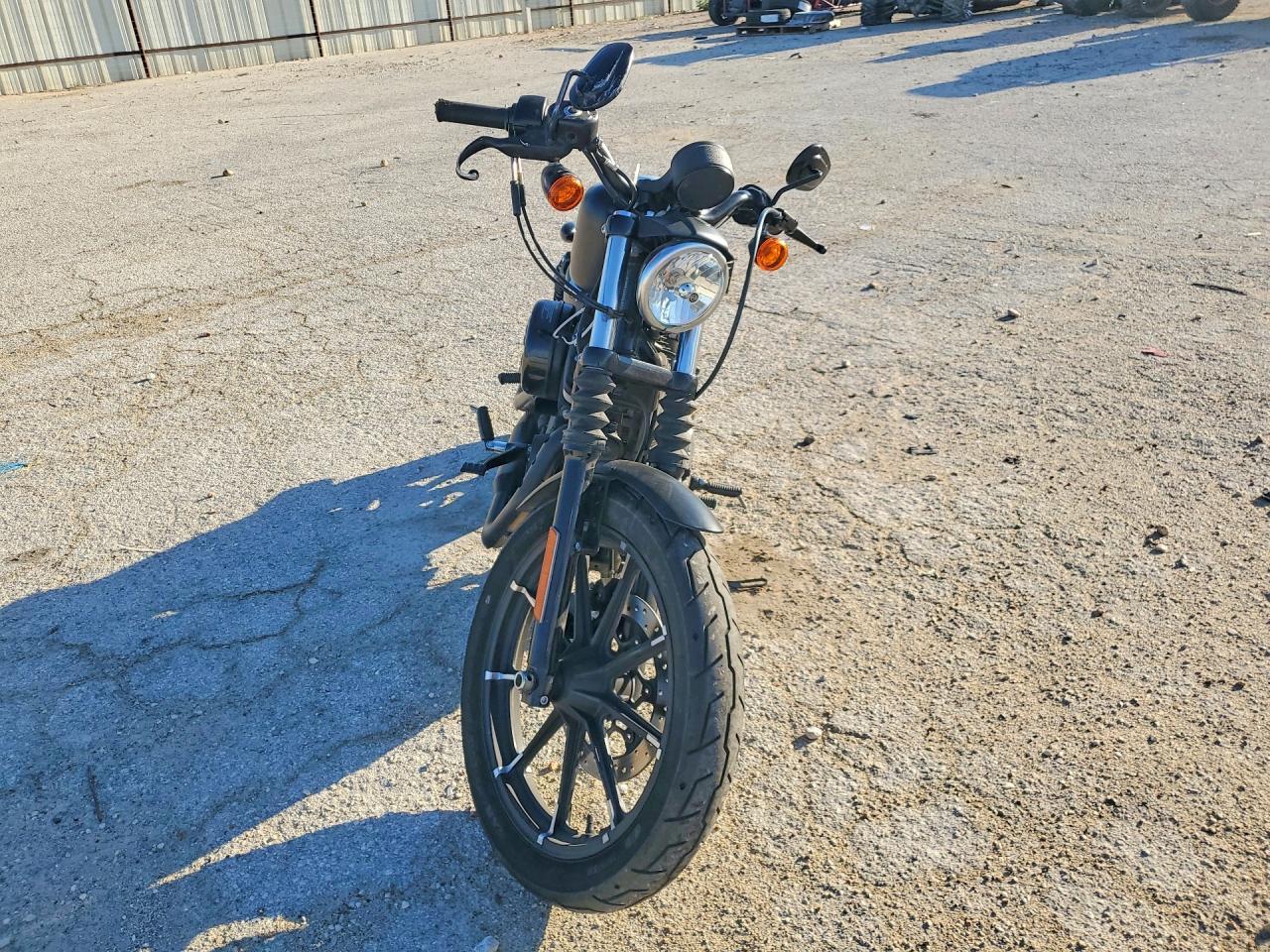 2020 Harley-Davidson XL883 N