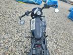 2025 Indian Sport Scout