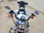2007 Harley-Davidson XL1200 L