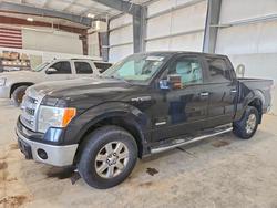 Salvage trucks for sale at Greenwood, NE auction: 2013 Ford F150 Supercrew