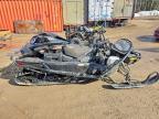 2022 Skidoo Expedition SWT 900