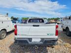 2024 Chevrolet Silverado C2500 Heavy Duty